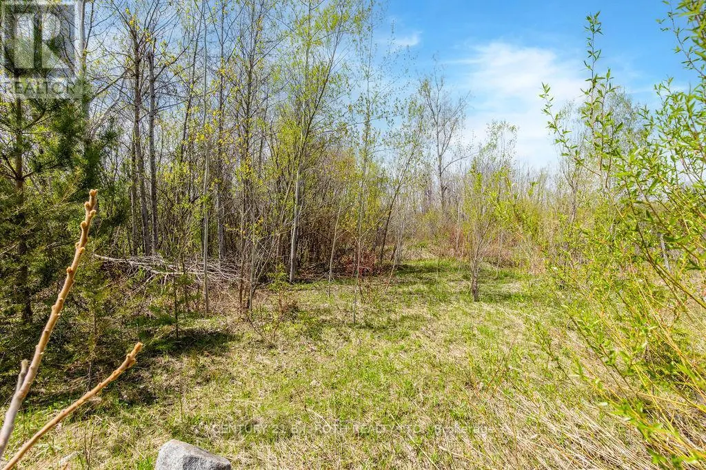 15 QUARRY ROAD
