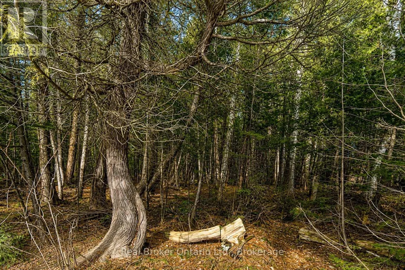 LOT 116 IROQUOIS CRESCENT