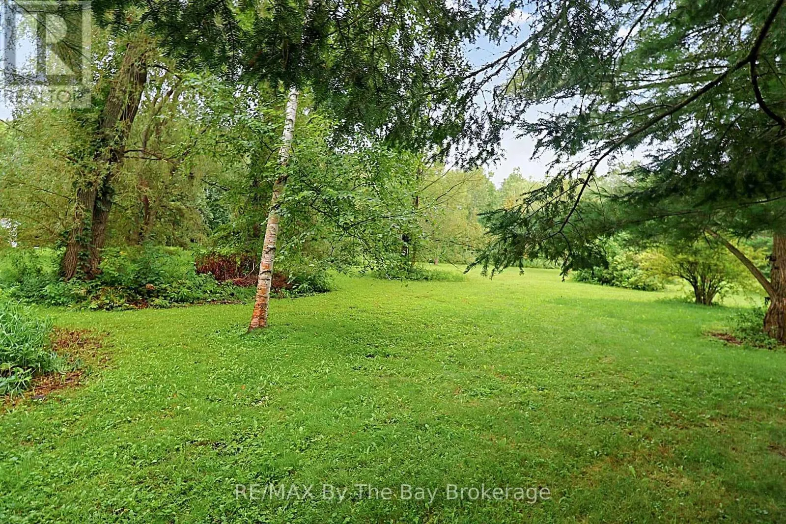 49 ROYAL BEECH DRIVE