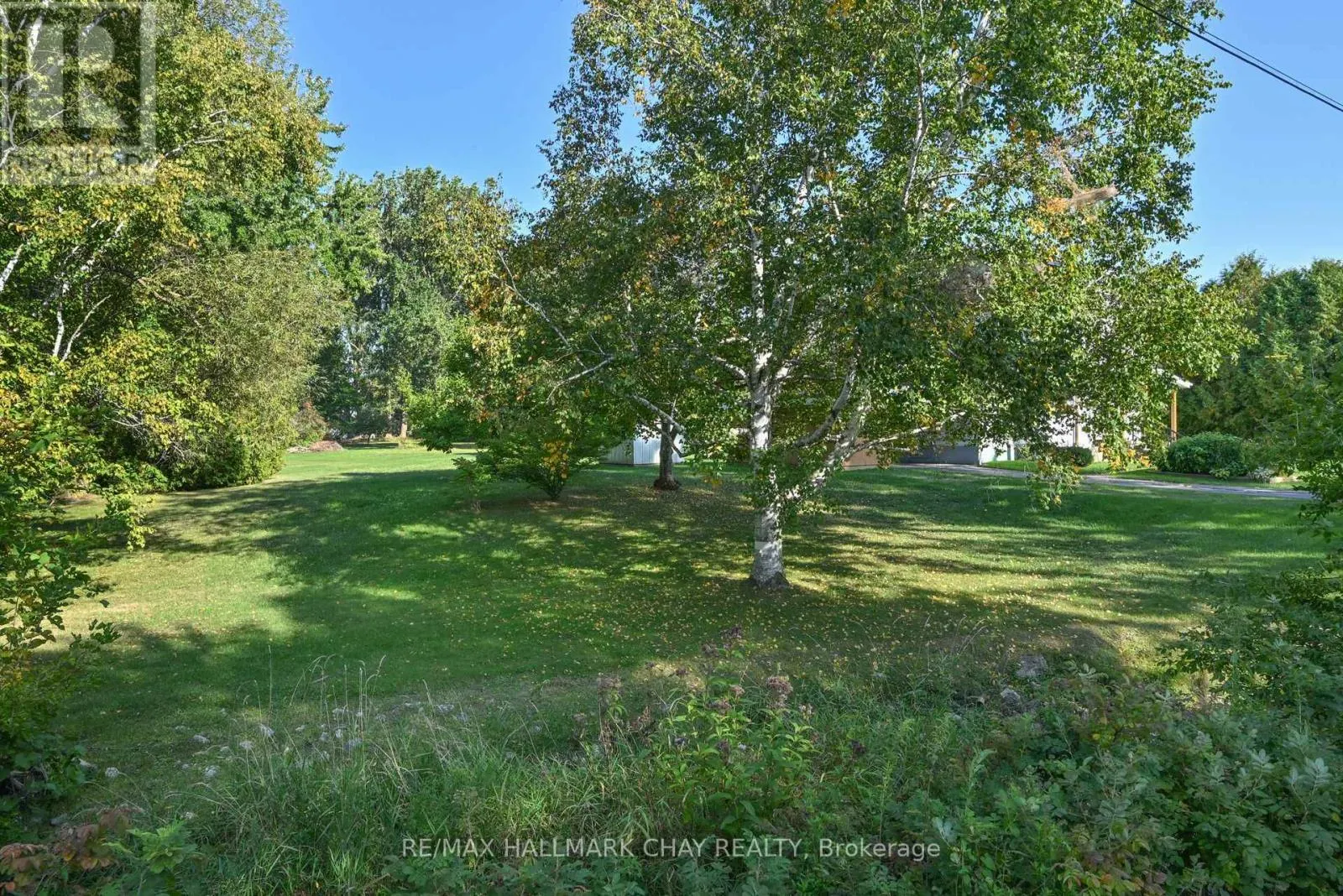 213 DOMINION DRIVE