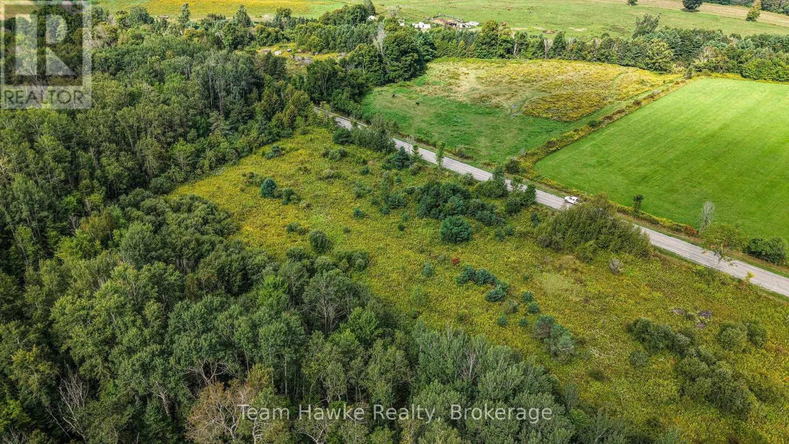 LOT 80 MCMANN SIDE ROAD