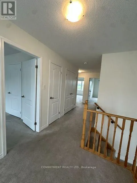 14 SHAPIRA AVENUE