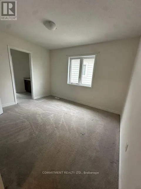 14 SHAPIRA AVENUE