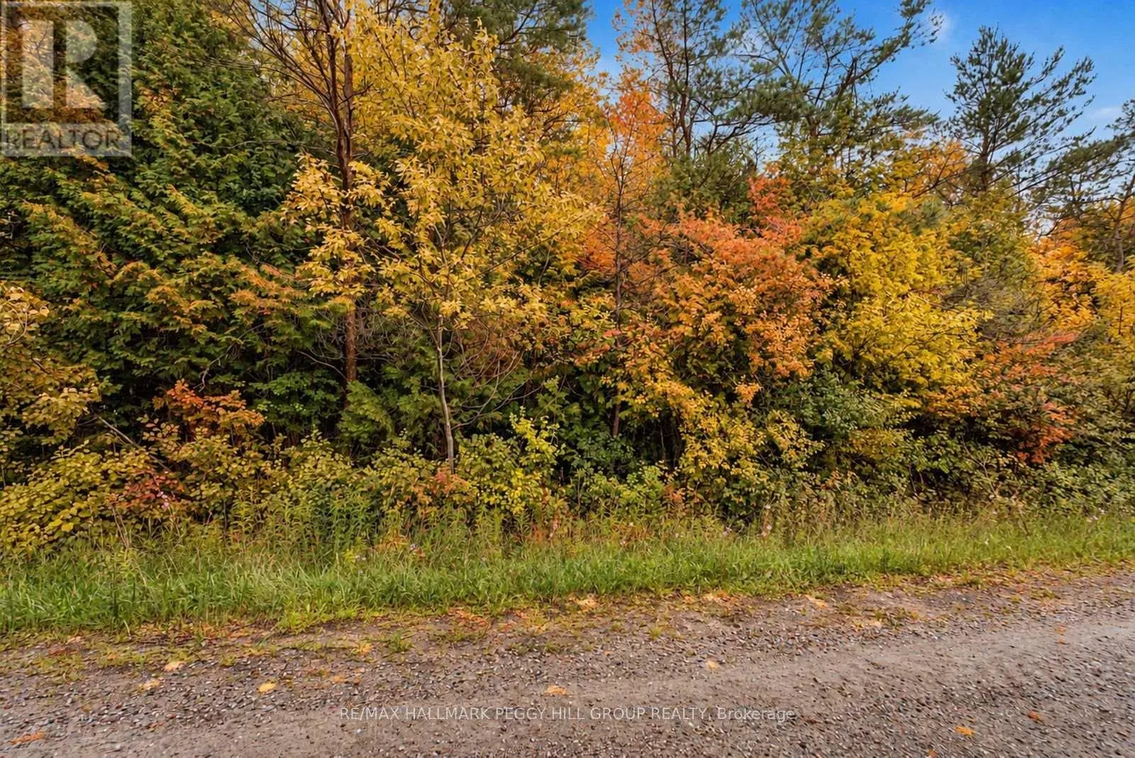1659 COUNTY ROAD 92