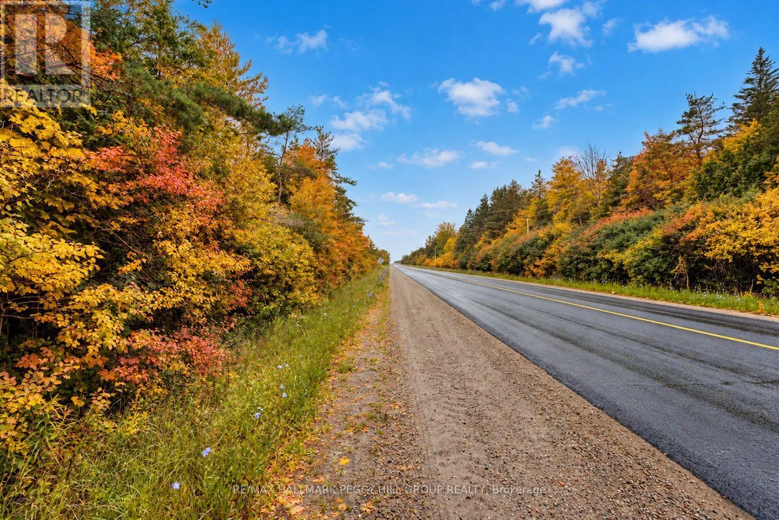 1659 COUNTY ROAD 92