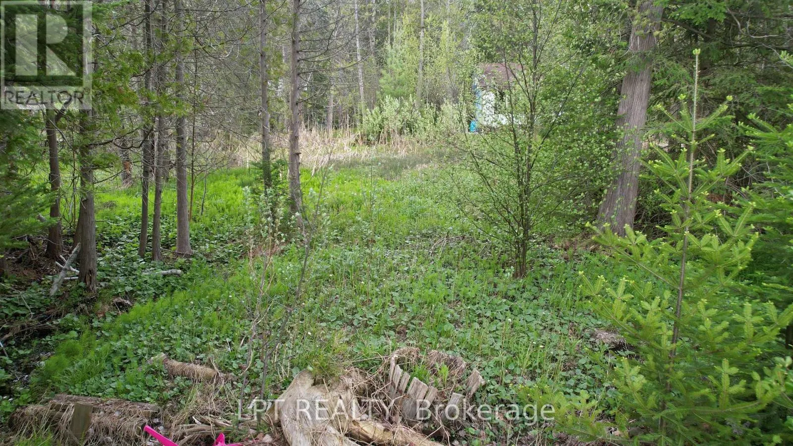2458 SOUTH ORR LAKE ROAD