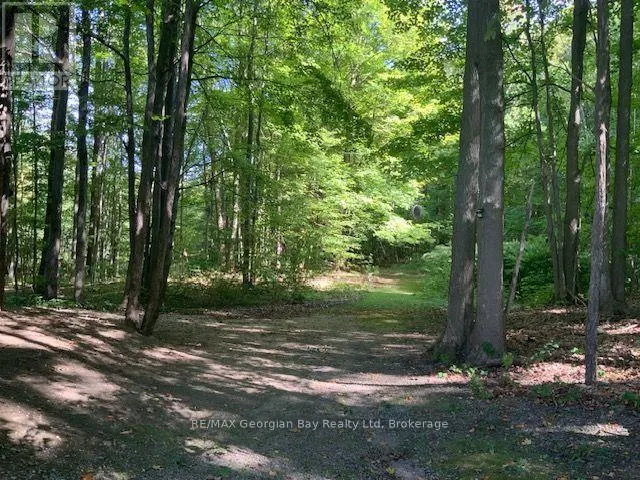 9513 COUNTY RD 93 ROAD NE