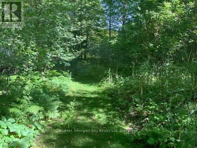 9513 COUNTY RD 93 ROAD NE