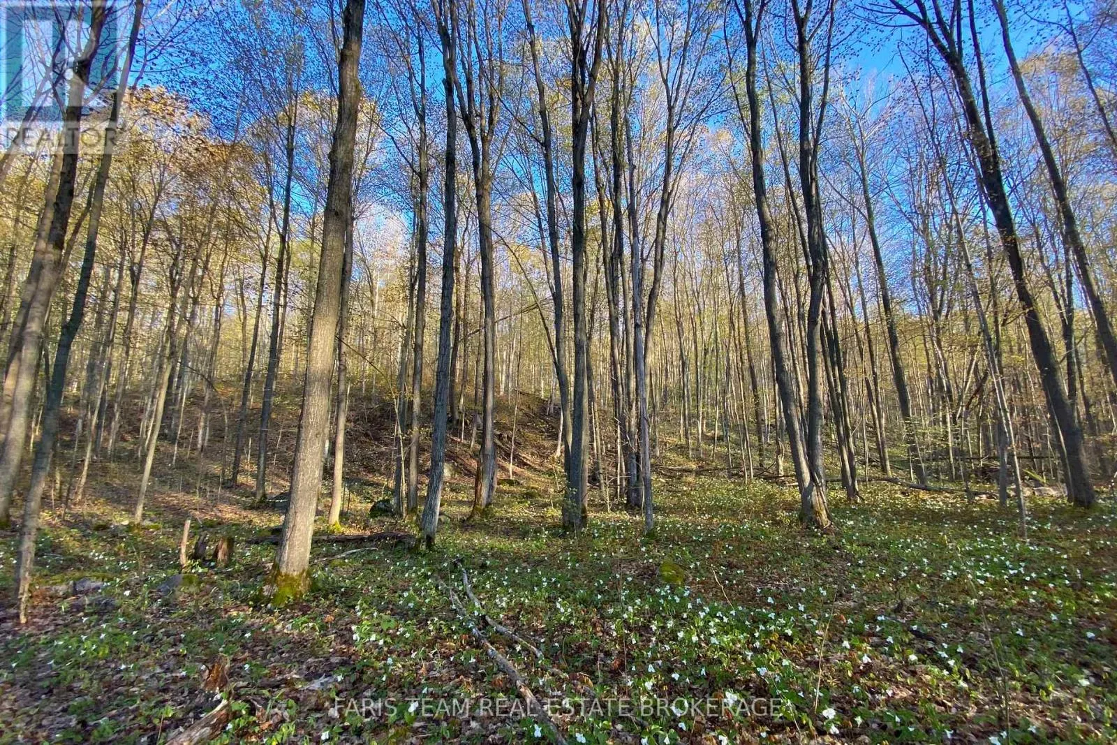 418 CONCESSION 13 ROAD E