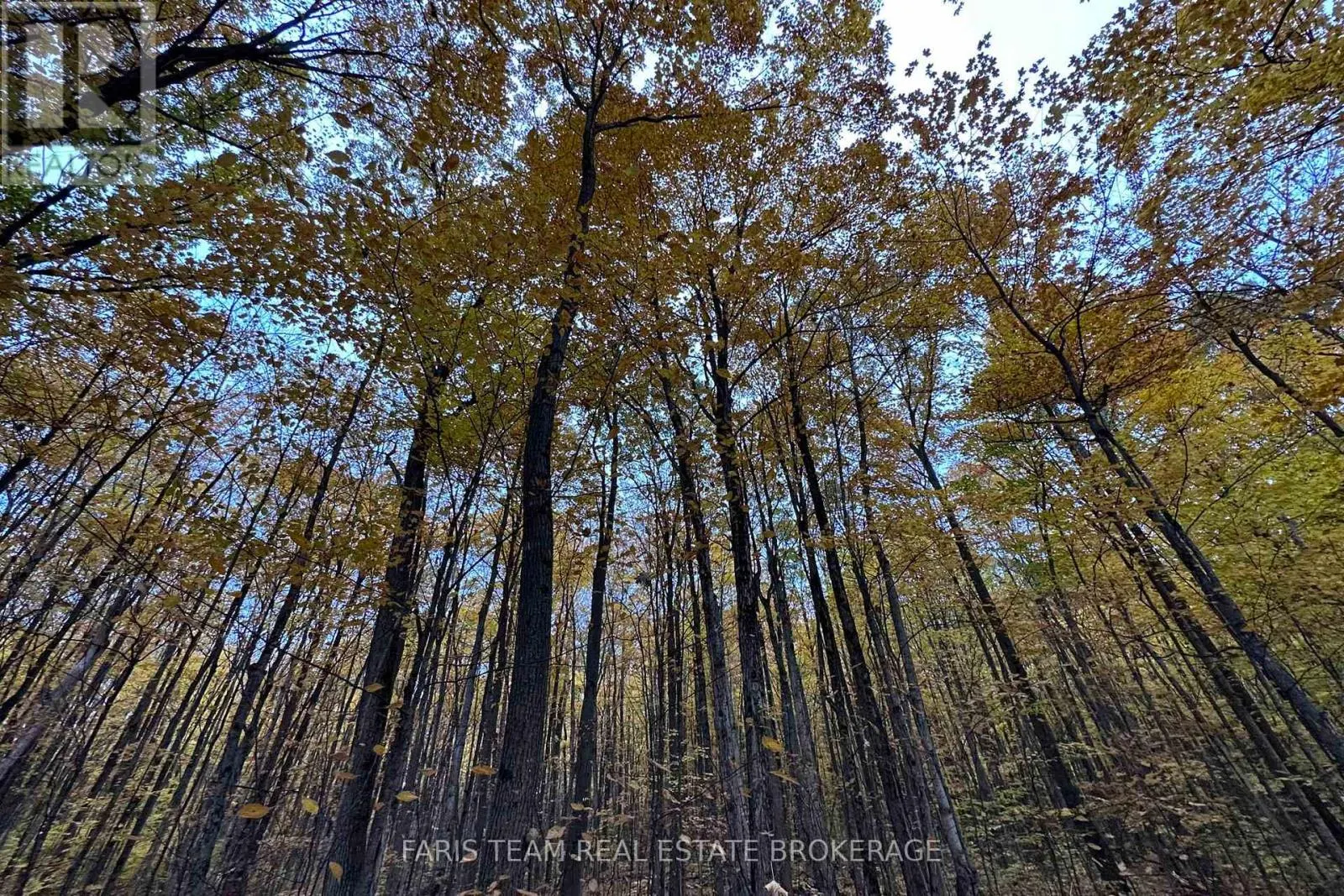 418 CONCESSION 13 ROAD E