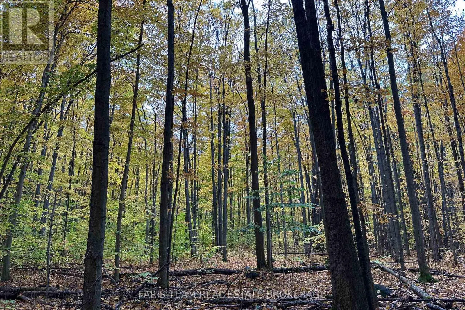 418 CONCESSION 13 ROAD E