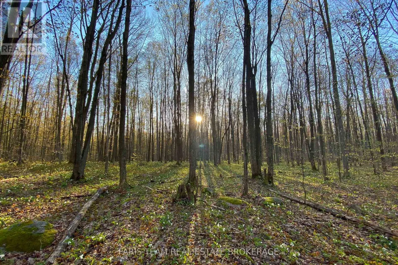 418 CONCESSION 13 ROAD E