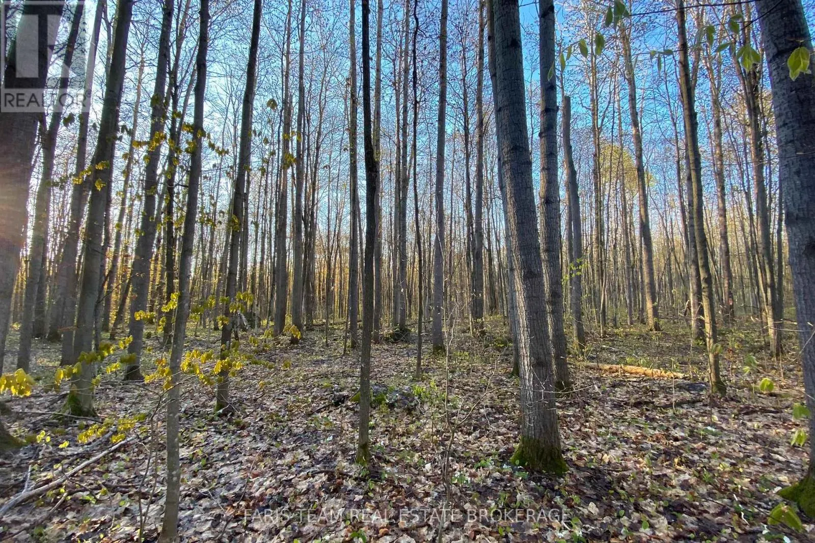 418 CONCESSION 13 ROAD E
