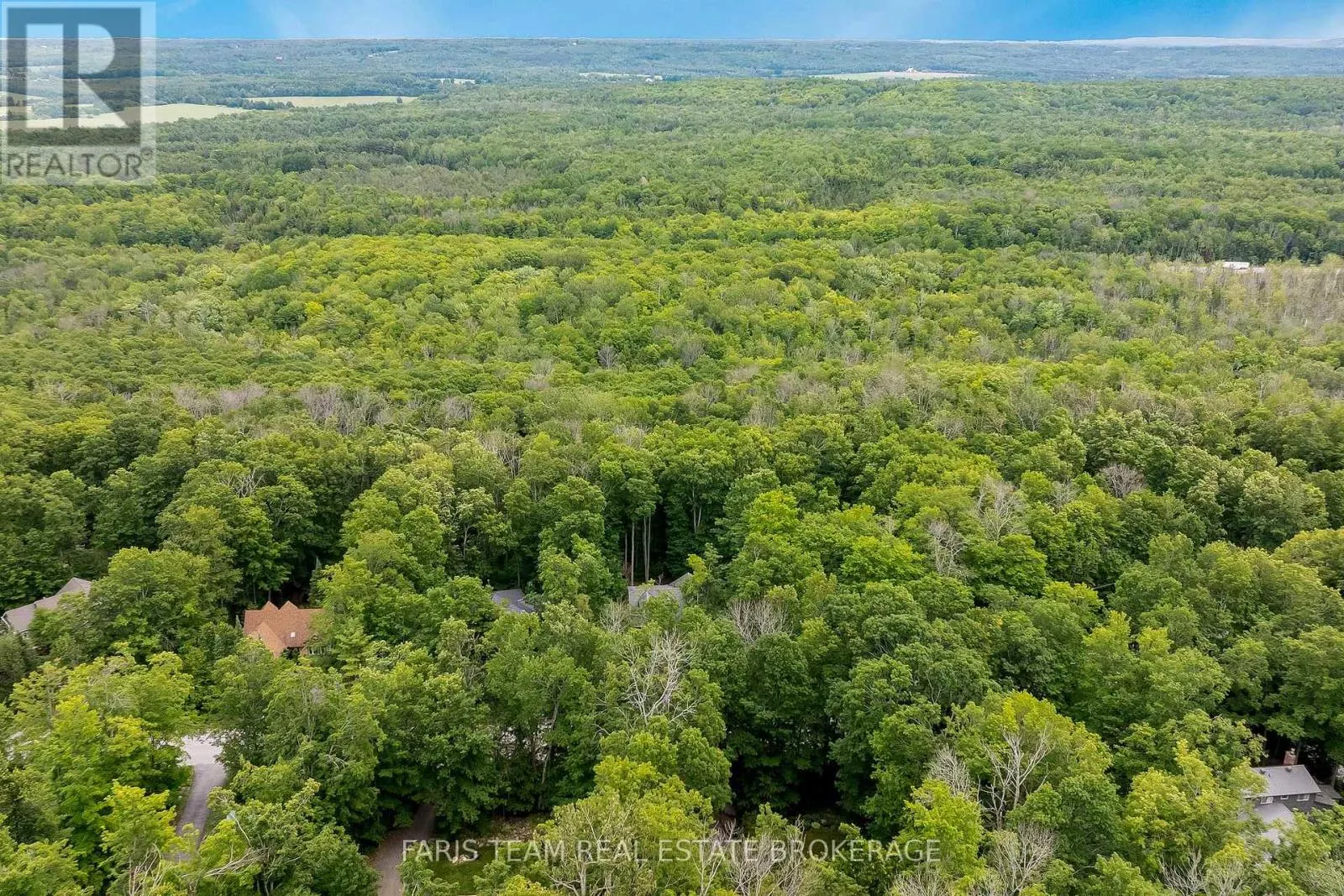 11 SNOWSHOE TRAIL