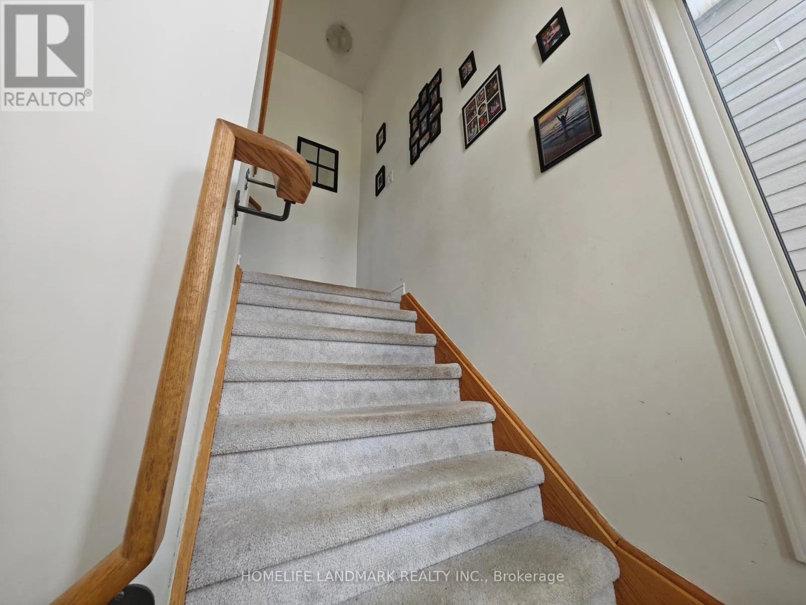 12 CATAMARAN DRIVE