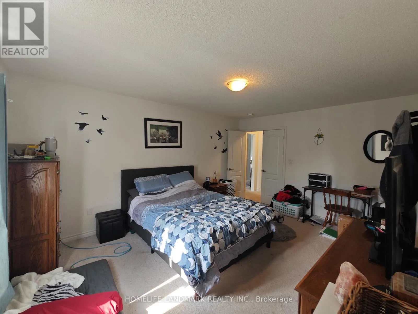 12 CATAMARAN DRIVE