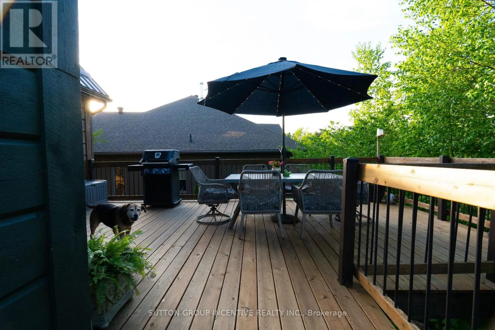17 BRIDLE PATH