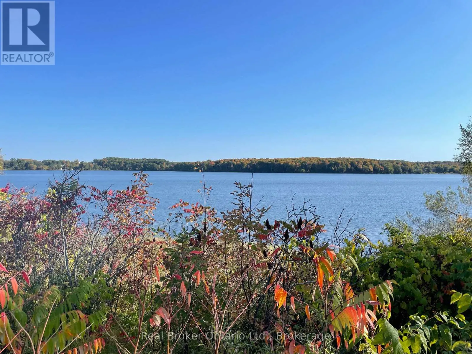 438 SHEWFELT CRESCENT