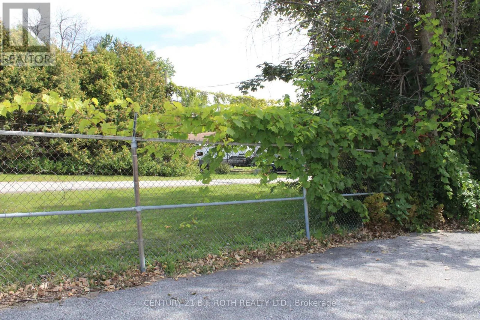 3363 BUENA VISTA DRIVE