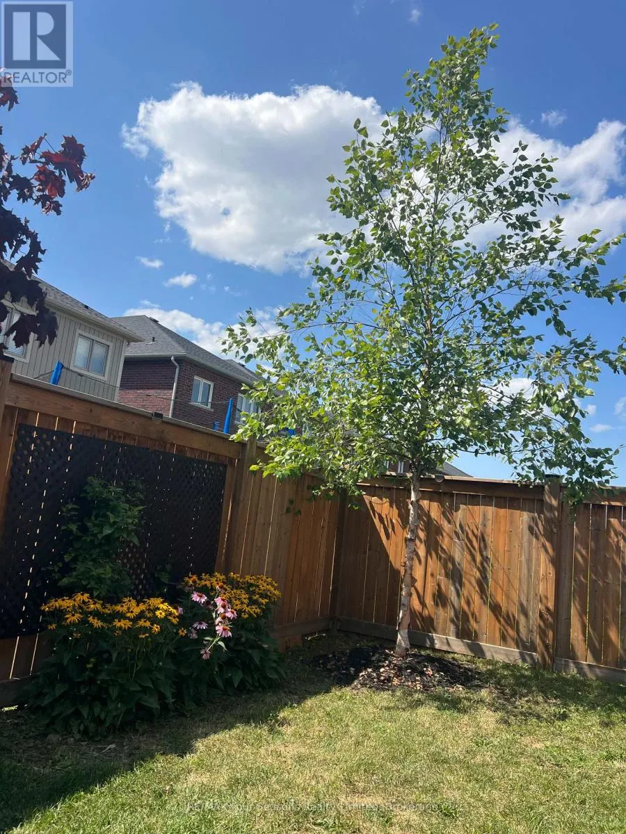24 BARFOOT STREET