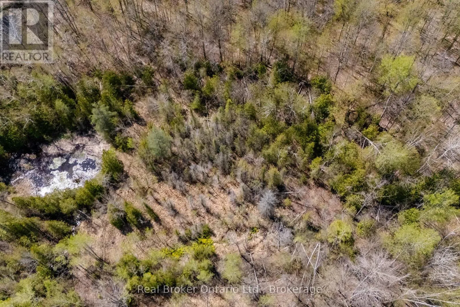 12824 COUNTY ROAD 16
