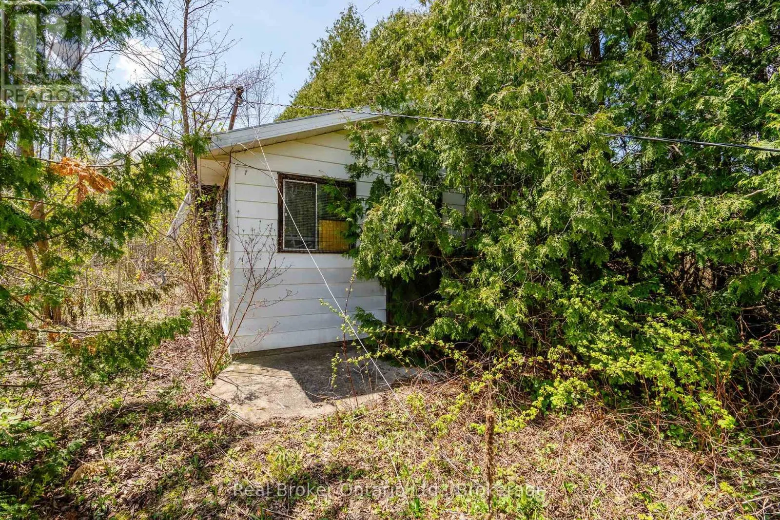 12824 COUNTY ROAD 16