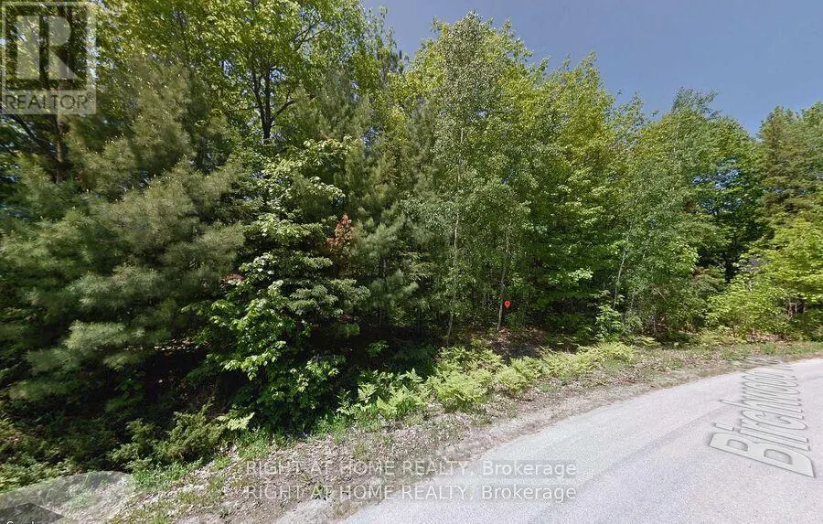 2 BIRCHWOOD TRAIL