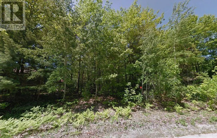 2 BIRCHWOOD TRAIL