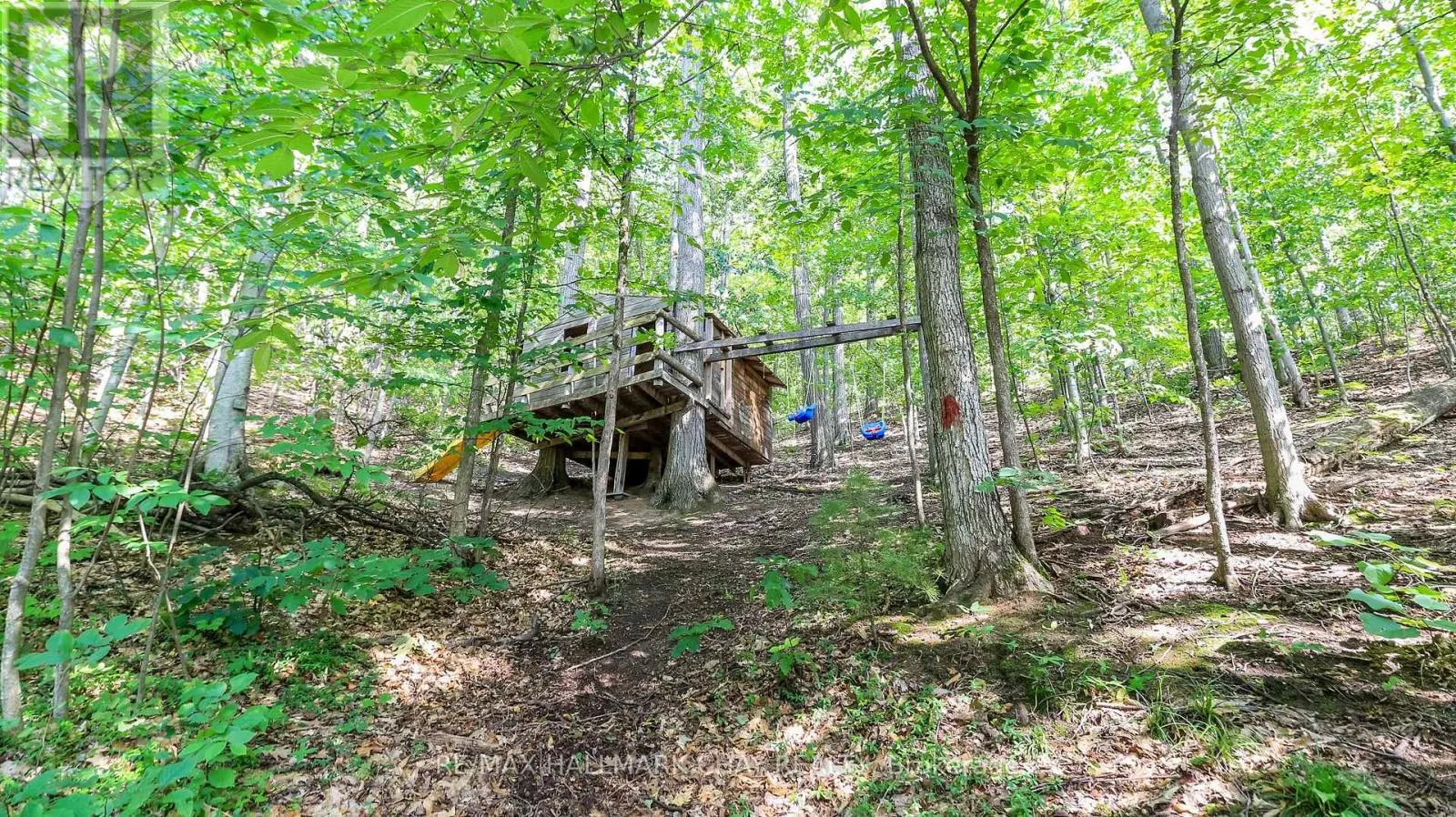 46 PINE RIDGE TRAIL