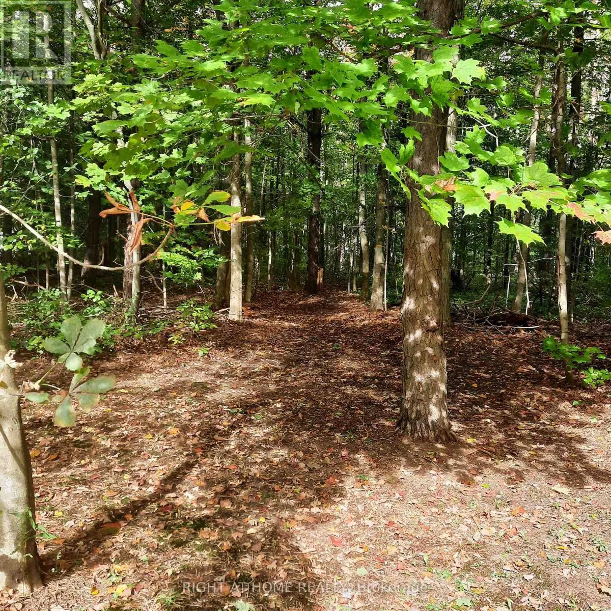 1602 COUNTY 92 ROAD