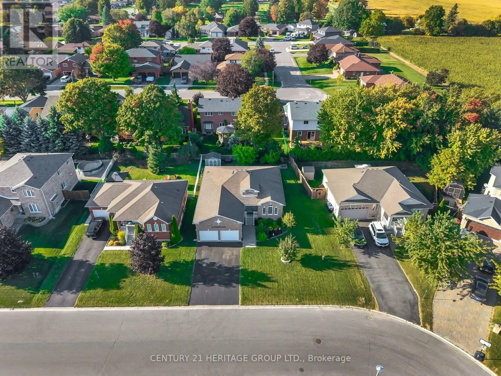 45 WHITFIELD CRESCENT