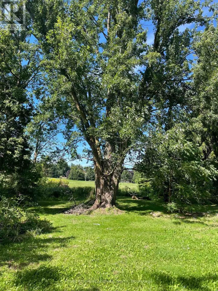 9038 COUNTY RD 91 ROAD