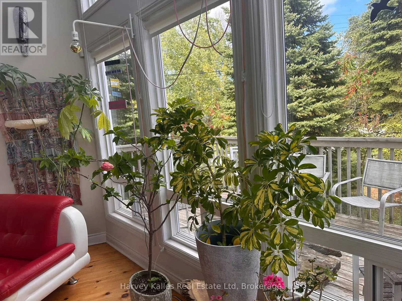 61 CONSTANCE BOULEVARD N