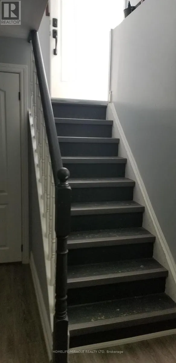 BASEMENT - 77 TRILLIUM CRESCENT