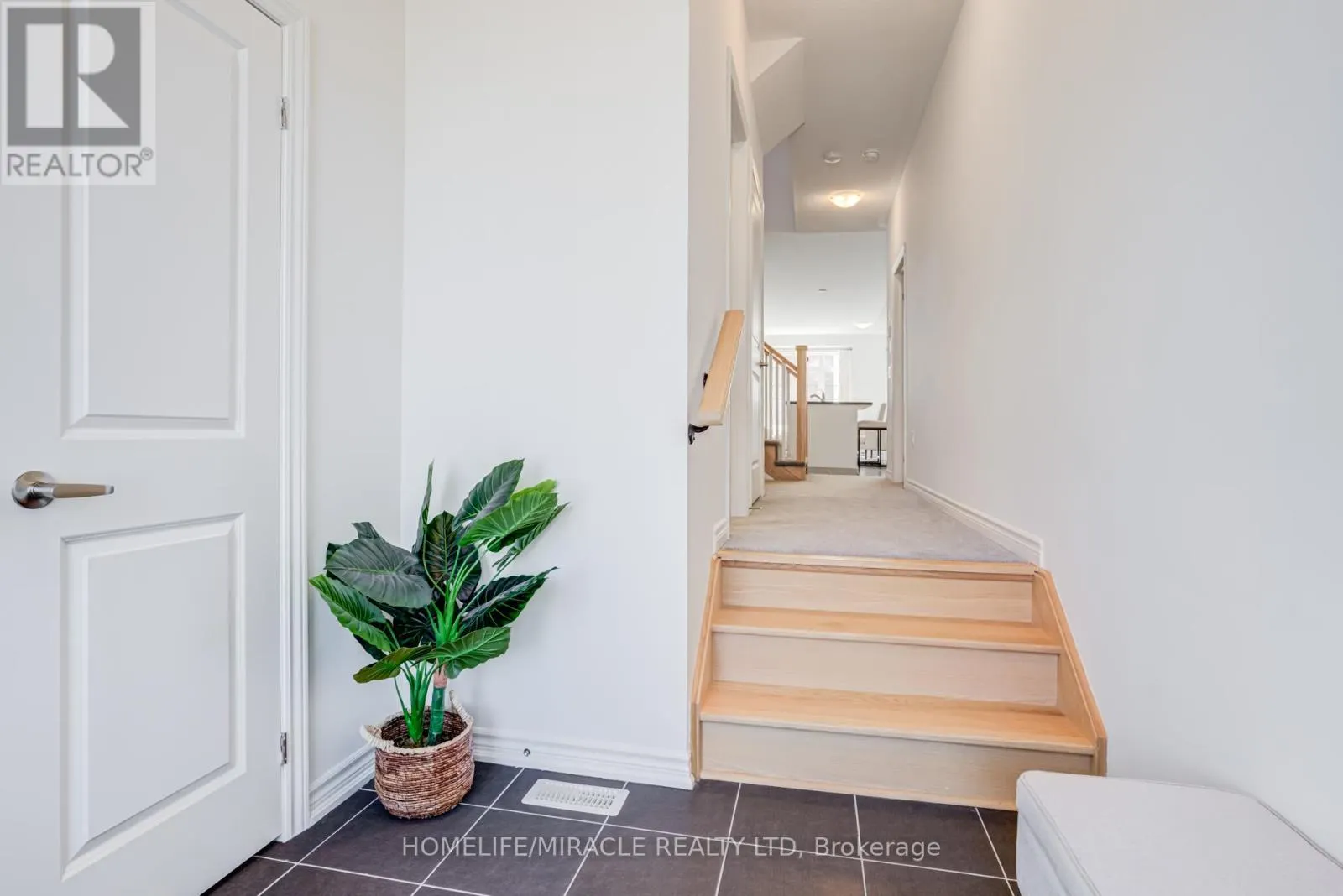14 SASSAFRAS ROAD