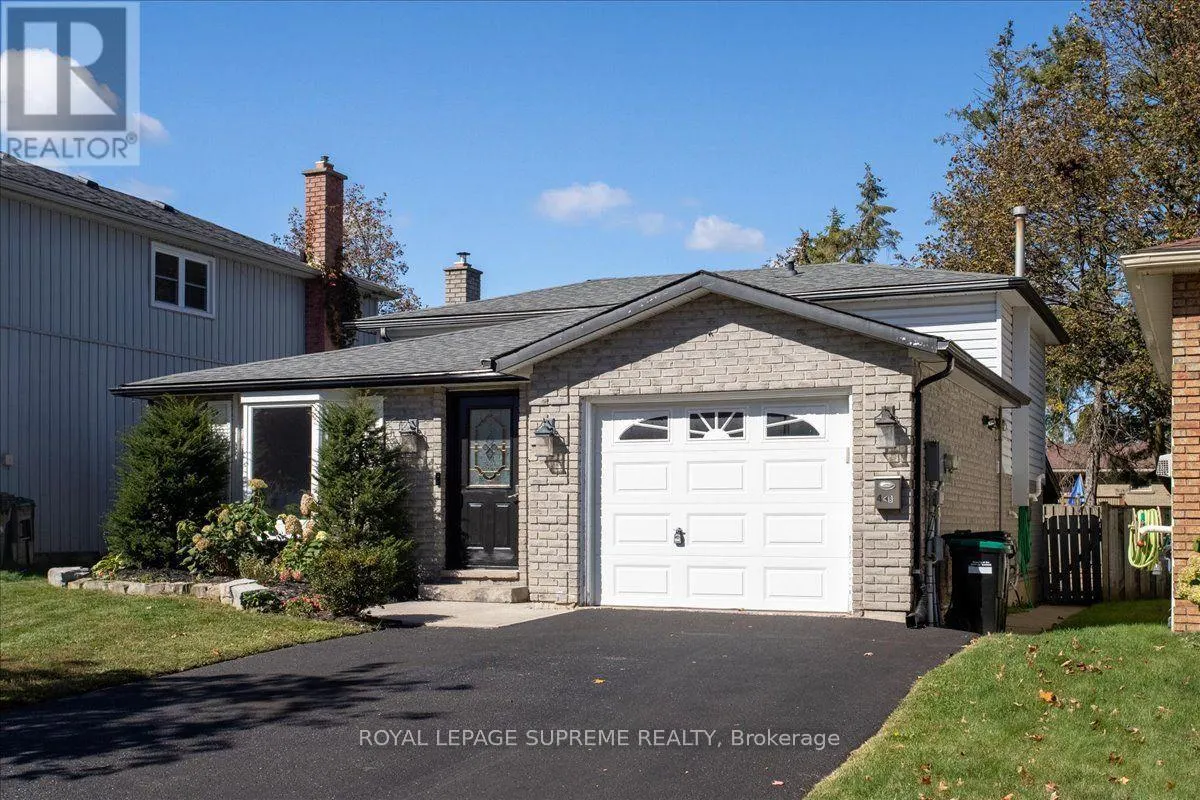 LOWER - 46 RIDGEWAY AVENUE