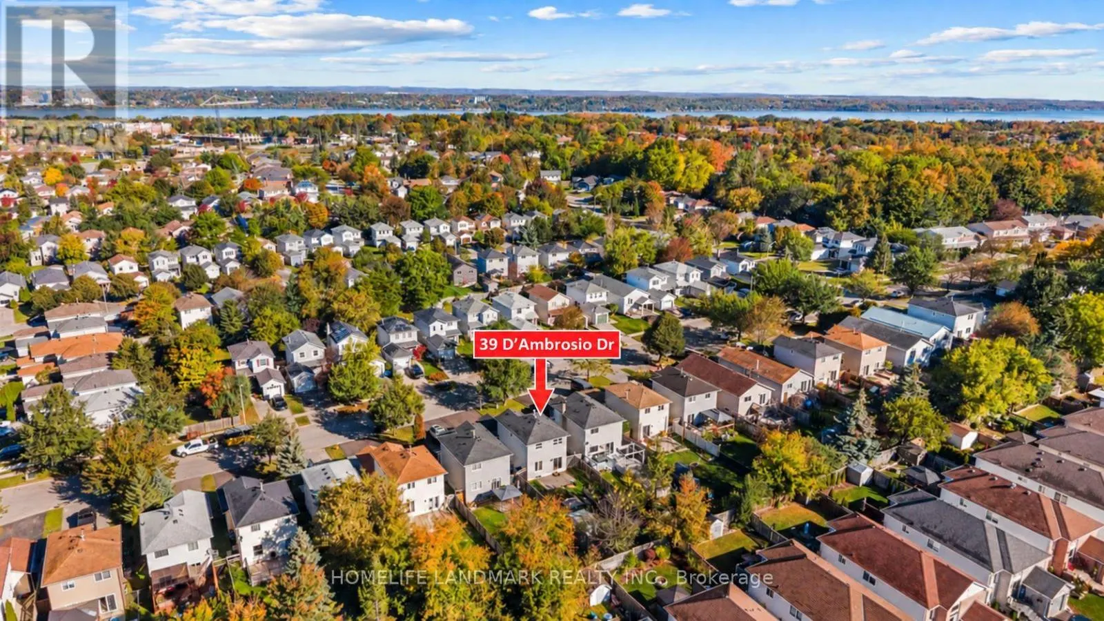 39 D'AMBROSIO DRIVE