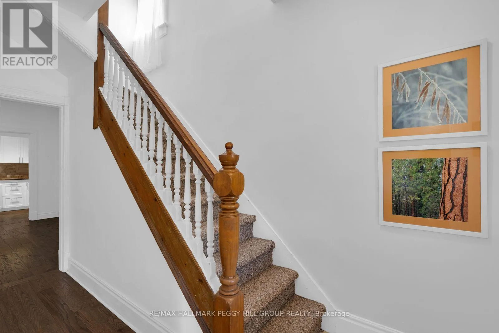 11 FRANCES STREET N