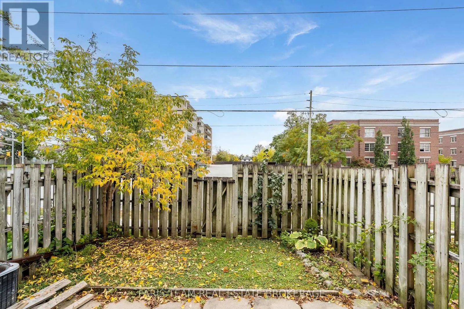 6 - 261 ROSE STREET