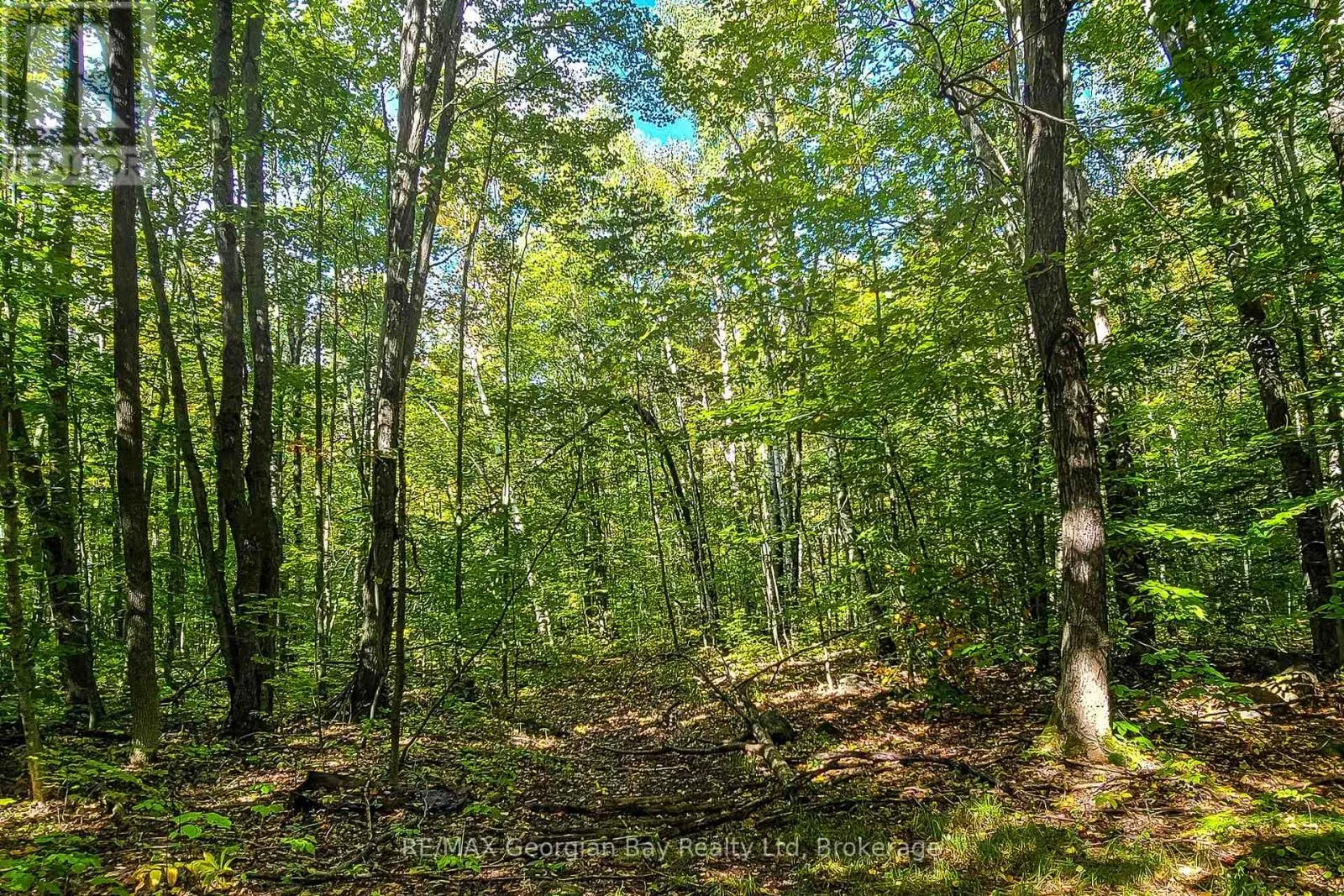 LOT 18 CONC 19 ROAD W