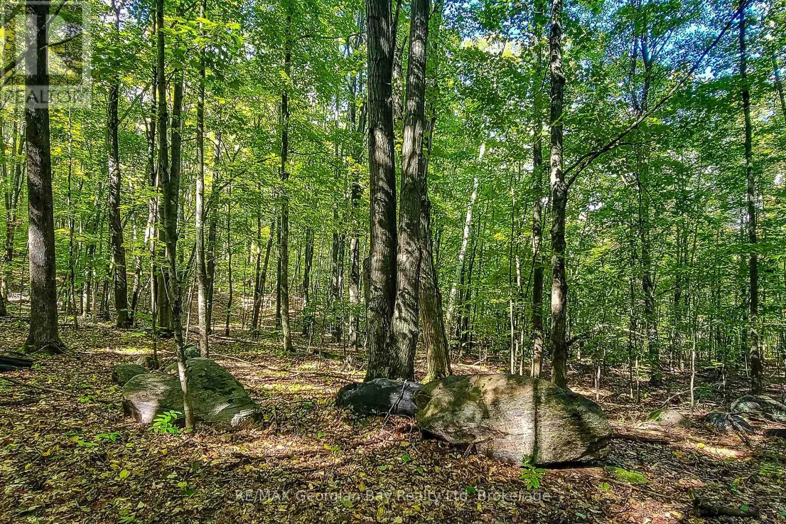 LOT 18 CONC 19 ROAD W