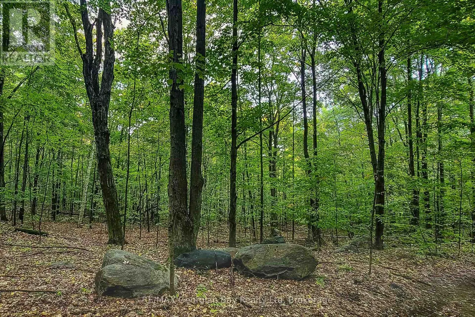 LOT 18 CONC 19 ROAD W