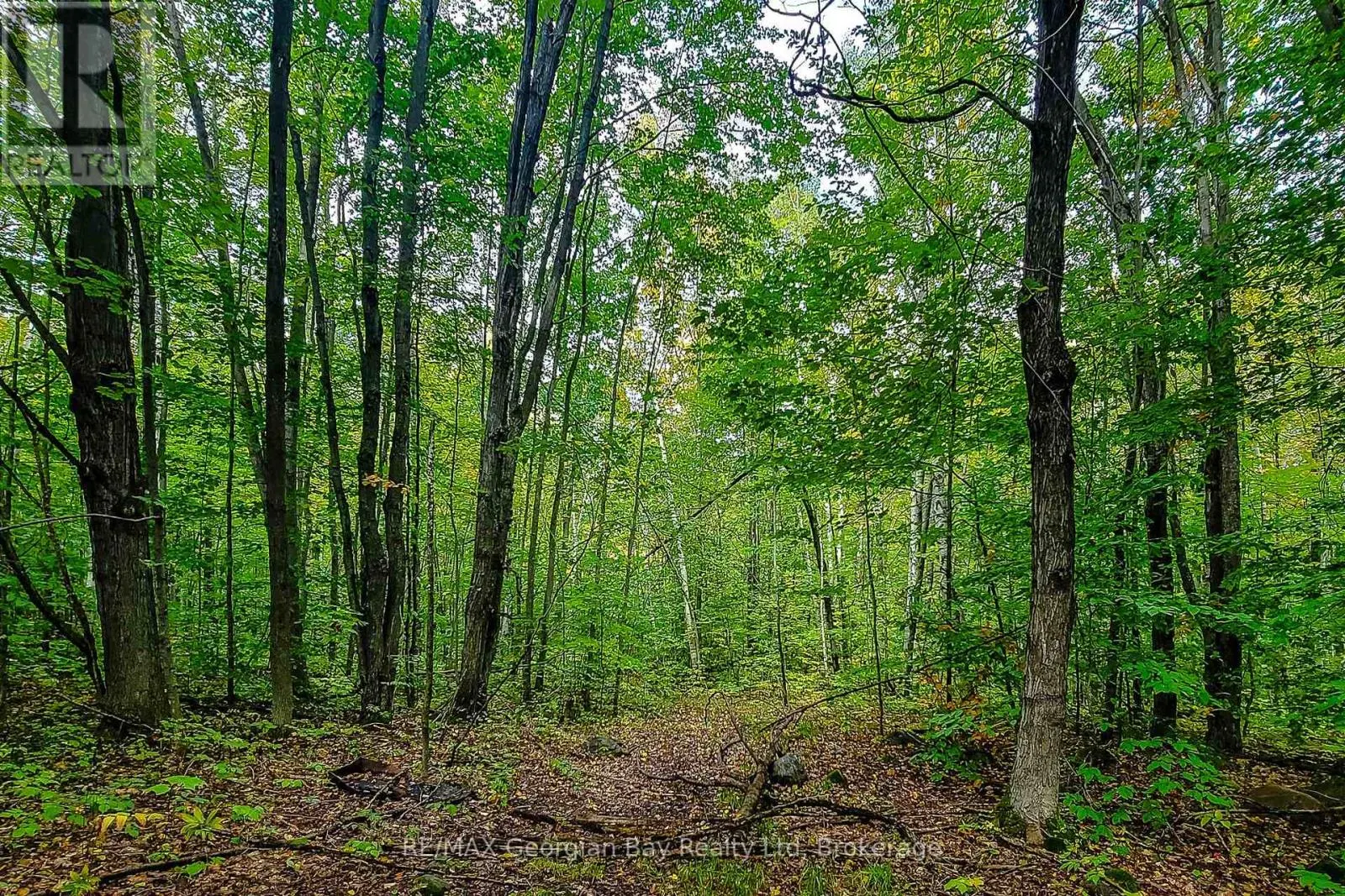 LOT 18 CONC 19 ROAD W