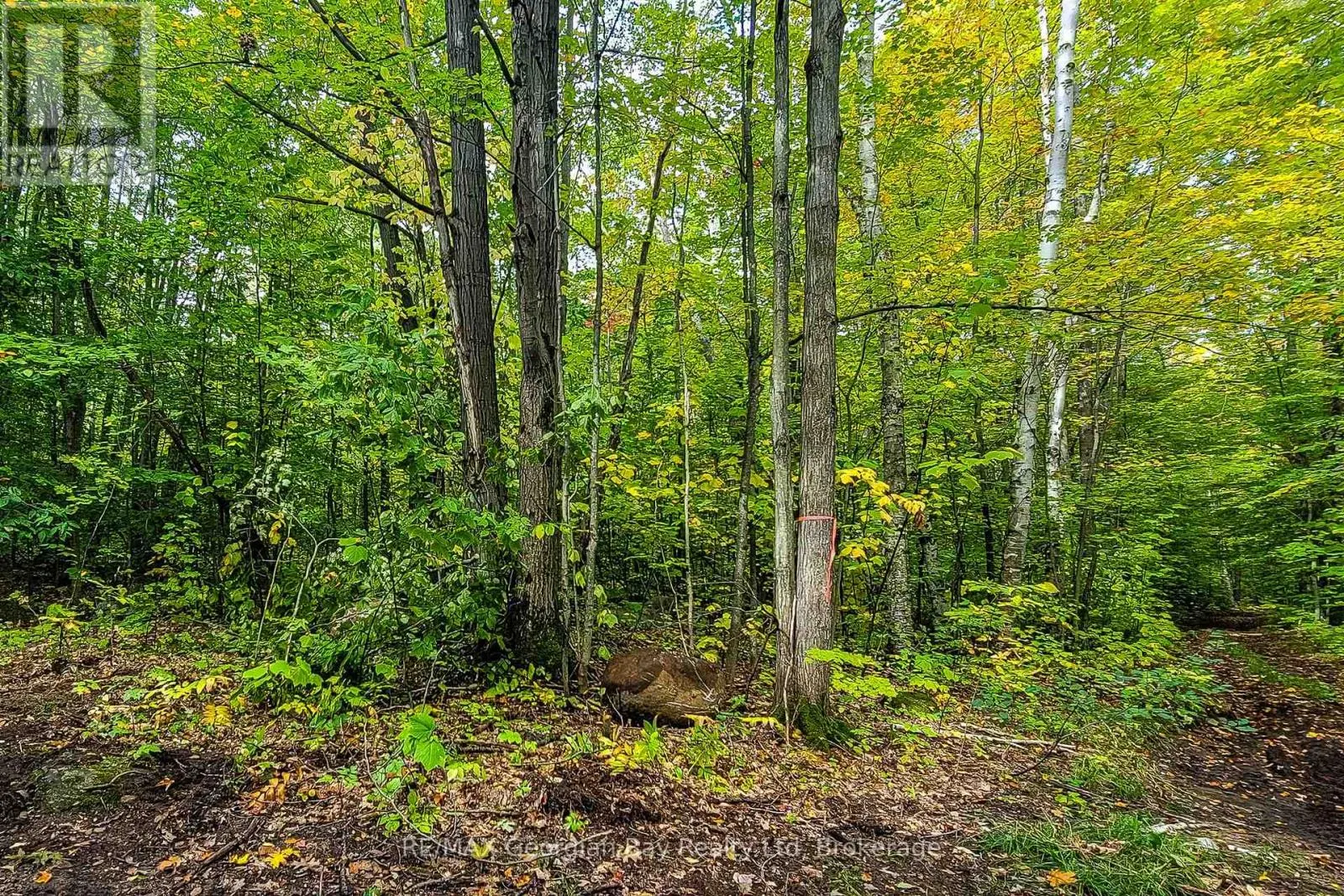 LOT 18 CONC 19 ROAD W