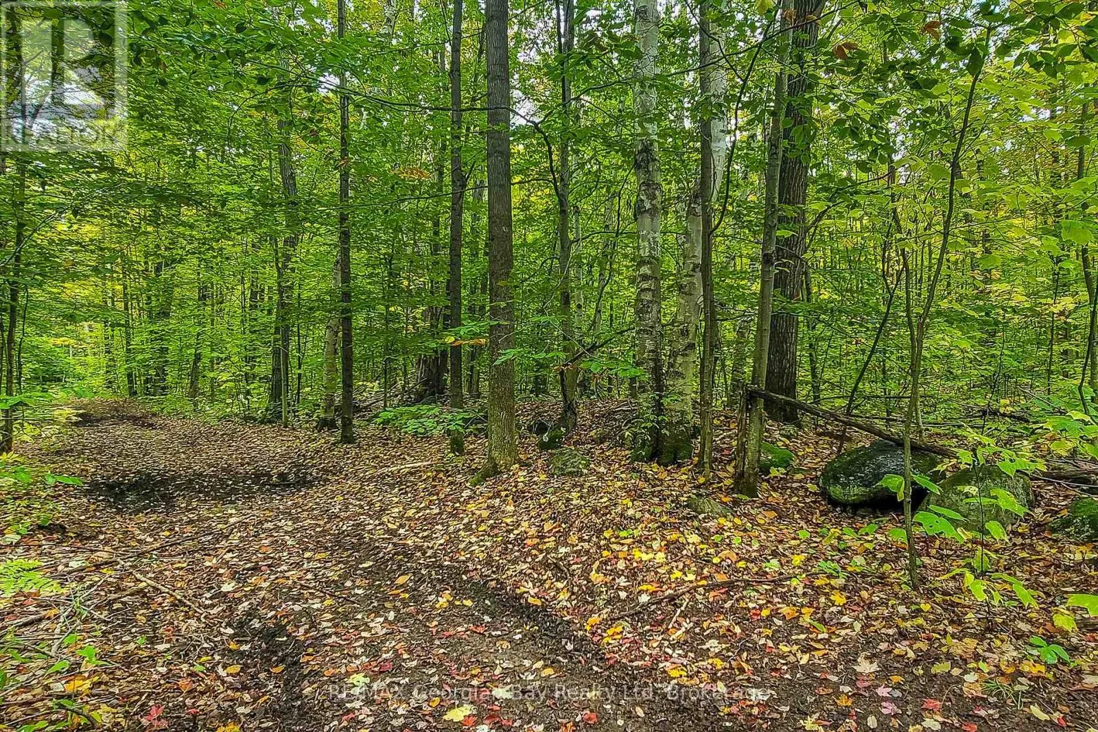 LOT 18 CONC 19 ROAD W