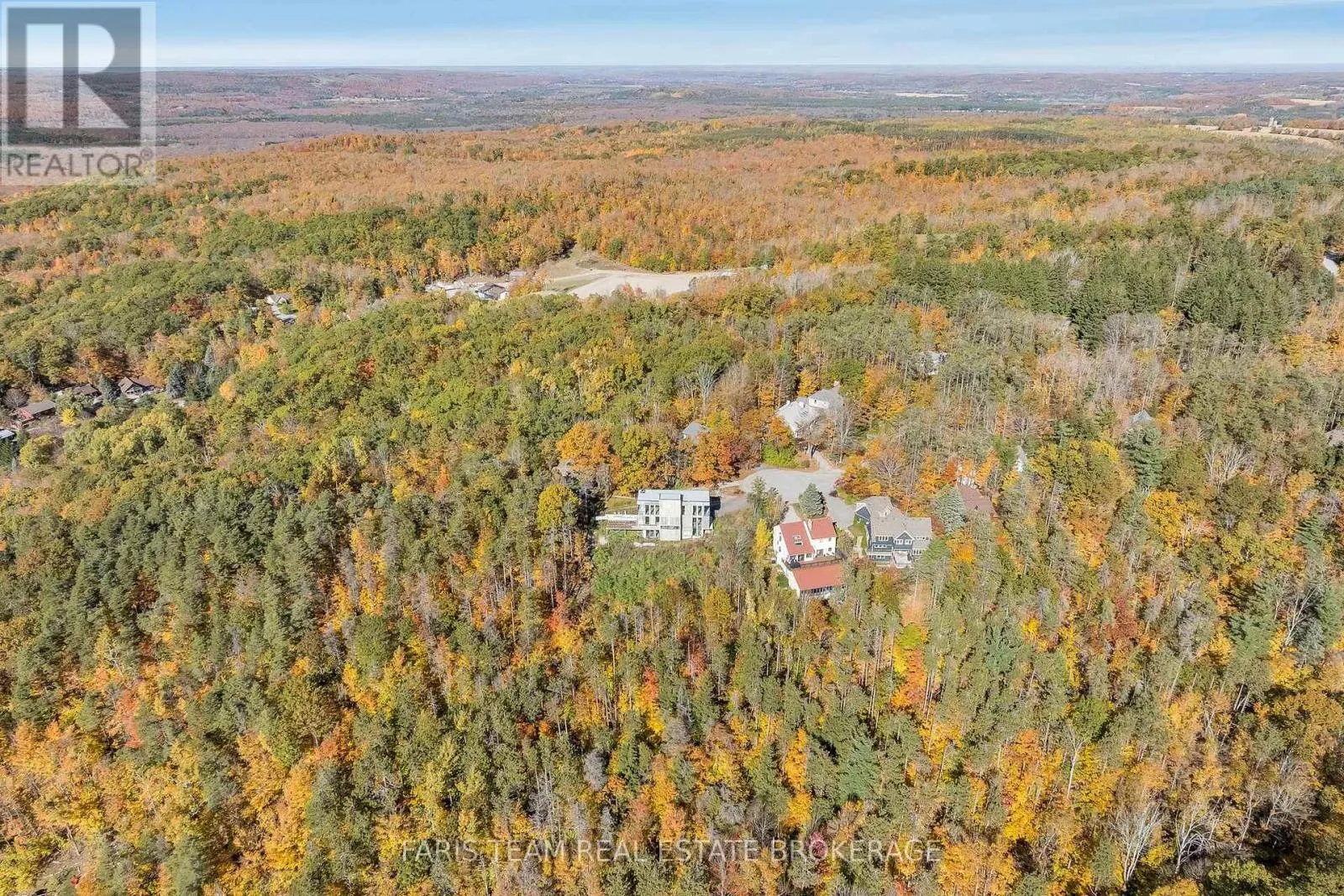 11 PINE POINT