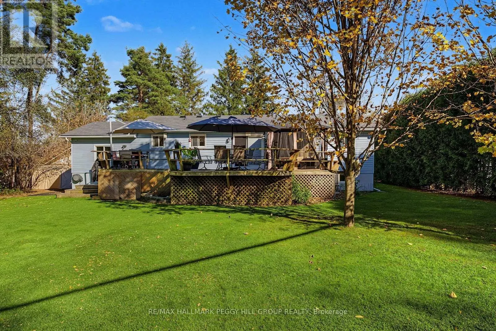 3346 MCCARTHY DRIVE