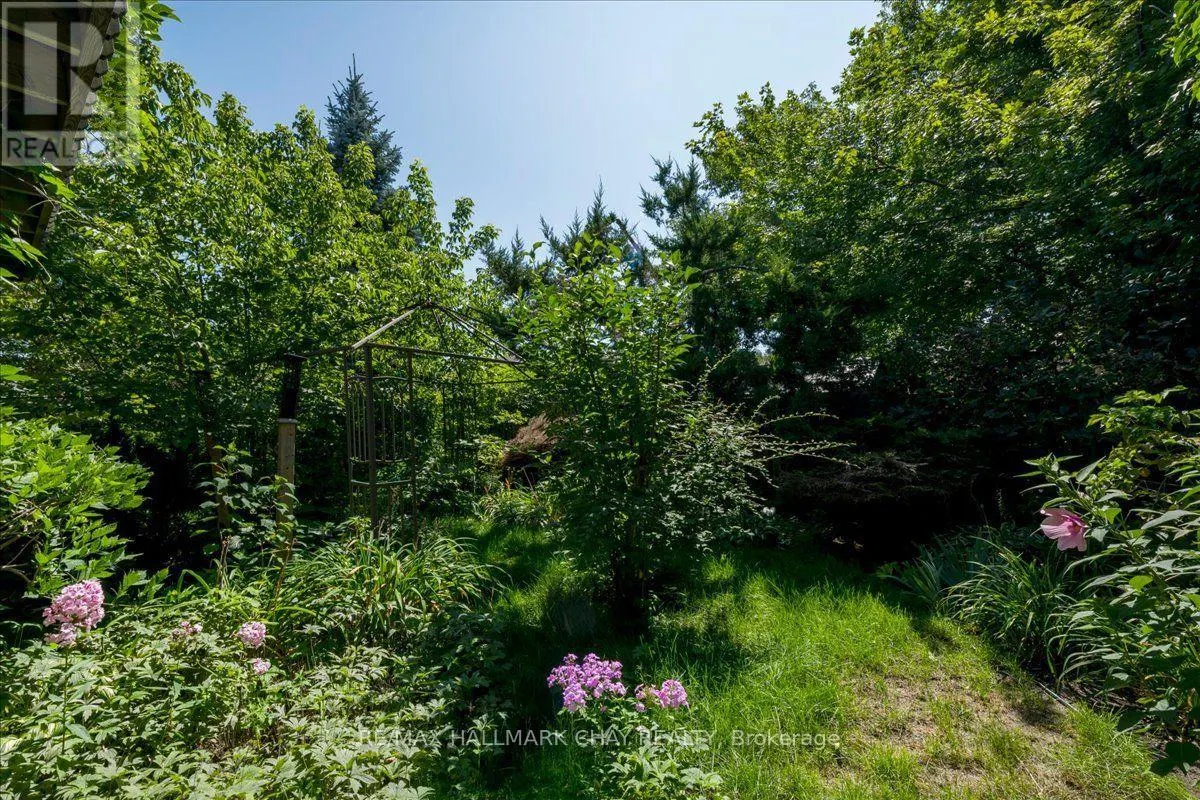 245 PRINGLE DRIVE