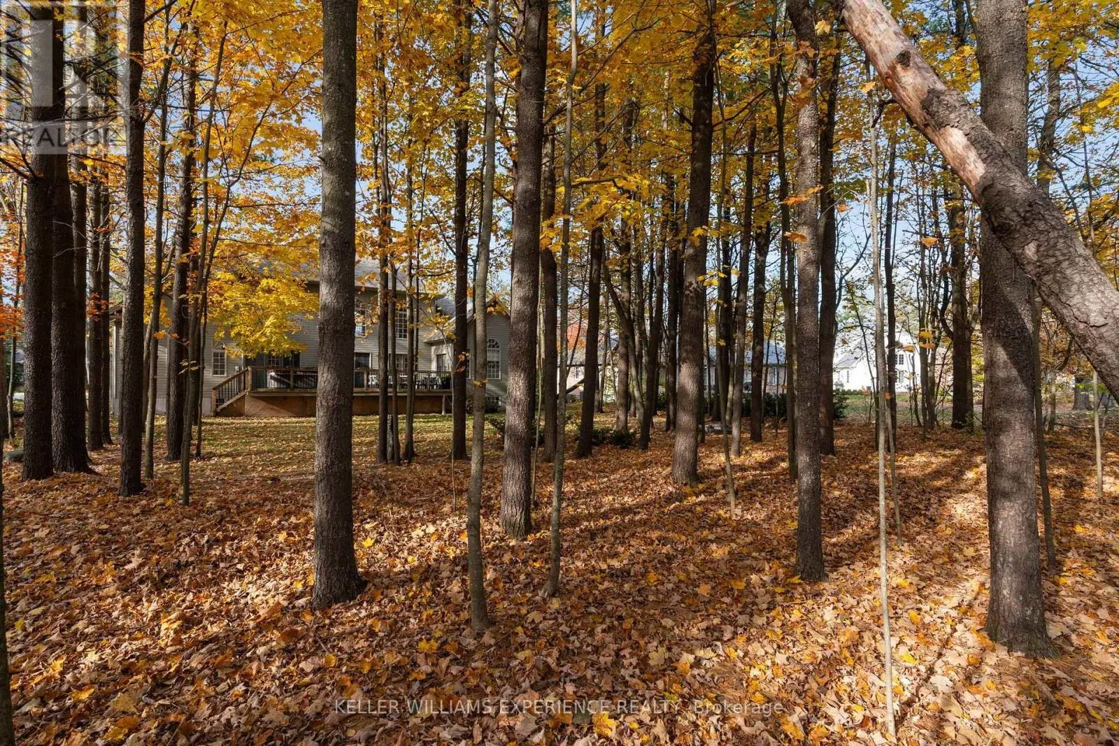 17 FAIRWAY COURT