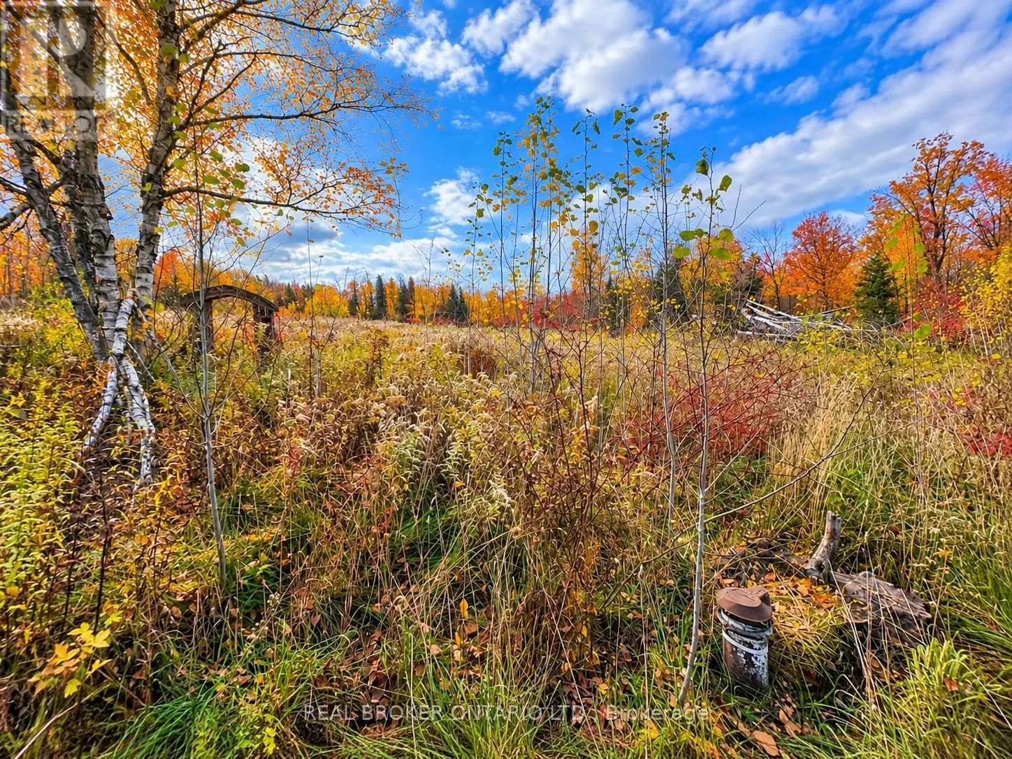 5654 WILLISON SIDE ROAD